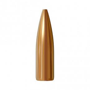 Střela Lapua 9.3mm (366 Diameter) 185 gr OT