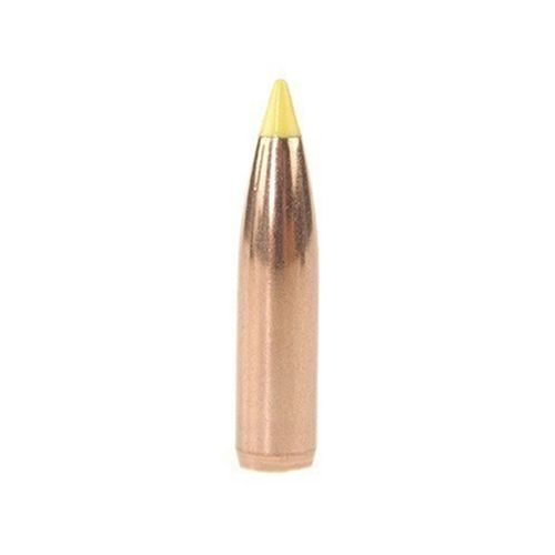 Střela Nosler 270 cal (277 Diameter) 140 gr Ballistic Tip Hunting