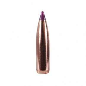Střela Nosler 6mm (243 Diameter) 90 gr Ballistic Tip Hunting Střela Nosler 6mm (243 Diameter) 90 gr Ballistic Tip Hunting