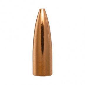 Střela Berger 6mm (243 Diameter) 64 gr Match BR Column Target