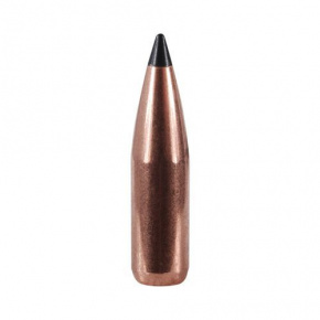 Střela Barnes 22 cal (224 Diameter) 53 gr XLC Coated