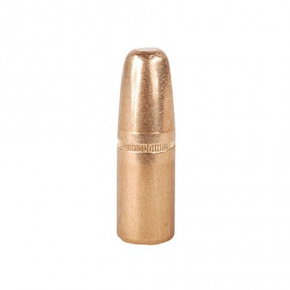 Střela Hornady 423 cal (423 Diameter) 400 gr DGS®