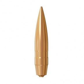 Střela Lapua 50 cal (510 Diameter) 800 gr Bullex-N
