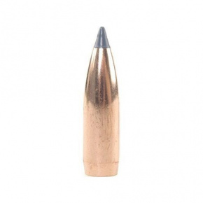 Střela Nosler 8mm (323 Diameter) 180 gr Ballistic Tip Hunting Střela Nosler 8mm (323 Diameter) 180 gr Ballistic Tip Hunting