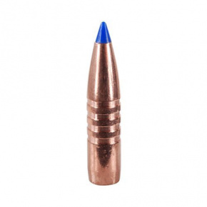Střela Barnes 30 cal (308 Diameter) 180 gr TTSX Boat Tail Střela Barnes 30 cal (308 Diameter) 180 gr TTSX Boat Tail