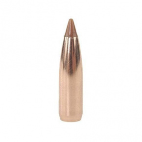Střela Nosler 6.5mm (264 Diameter) 100 gr Ballistic Tip Hunting
