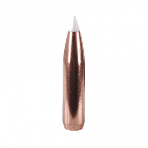 Střela Nosler 7mm (284 Diameter) 160 gr AccuBond Střela Nosler 7mm (284 Diameter) 160 gr AccuBond