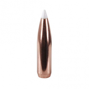 Střela Nosler 25 cal (257 Diameter) 110 gr AccuBond