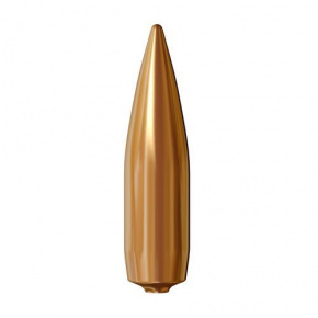 Střela Lapua 30 cal (308 Diameter) 170 gr Lock Base