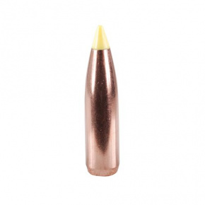 Střela Nosler 270 cal (277 Diameter) 130 gr Ballistic Tip Hunting Střela Nosler 270 cal (277 Diameter) 130 gr Ballistic Tip Hunting