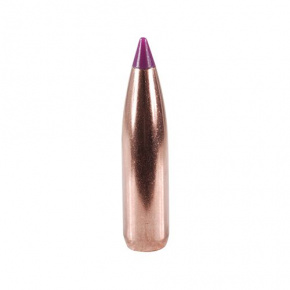 Střela Nosler 6mm (243 Diameter) 95 gr Ballistic Tip Hunting Střela Nosler 6mm (243 Diameter) 95 gr Ballistic Tip Hunting