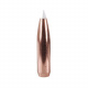 Střela Nosler 30 cal (308 Diameter) 200 gr AccuBond