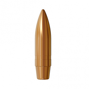 Střela Lapua 7.62mm (310 Diameter) 200 gr FMJ BT D166