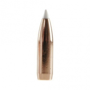 Střela Nosler 8mm (323 Diameter) 200 gr AccuBond Střela Nosler 8mm (323 Diameter) 200 gr AccuBond