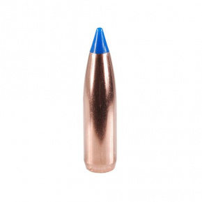 Střela Nosler 25 cal (257 Diameter) 100 gr Ballistic Tip Hunting Střela Nosler 25 cal (257 Diameter) 100 gr Ballistic Tip Hunting