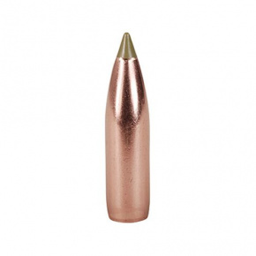 Střela Nosler 8mm (323 Diameter) 180 gr E-Tip Střela Nosler 8mm (323 Diameter) 180 gr E-Tip
