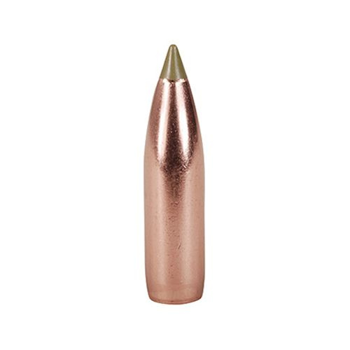 Střela Nosler 8mm (323 Diameter) 180 gr E-Tip