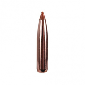 Střela Nosler 6.5mm (264 Diameter) 140 gr Ballistic Tip Hunting Střela Nosler 6.5mm (264 Diameter) 140 gr Ballistic Tip Hunting