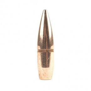 Střela Hornady 303 cal (3105 Diameter) 174 gr FMJ BT