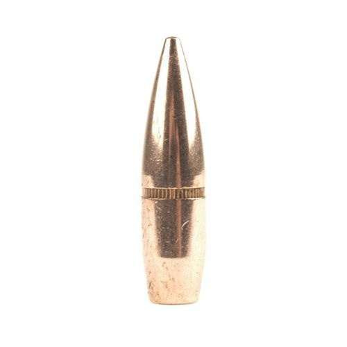 Střela Hornady 303 cal (3105 Diameter) 174 gr FMJ BT