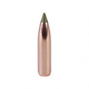 Střela Nosler 270 cal (277 Diameter) 130 gr E-Tip