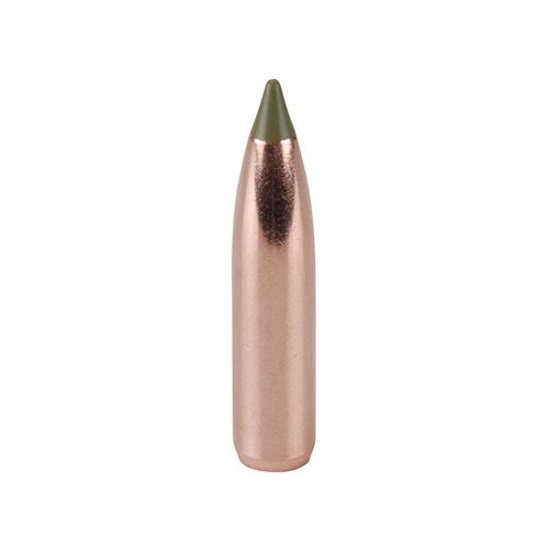 Střela Nosler 270 cal (277 Diameter) 130 gr E-Tip