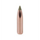 Střela Nosler 270 cal (277 Diameter) 130 gr E-Tip