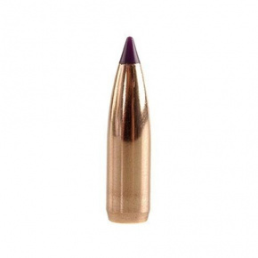 Střela Nosler 6mm (243 Diameter) 80gr Ballistic Tip Varmint Střela Nosler 6mm (243 Diameter) 80gr Ballistic Tip Varmint