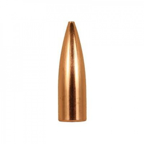 Střela Hornady 6mm (243 Diameter) 75 gr V-MAX™