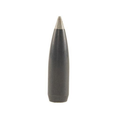 Střela Nosler 30 cal (308 Diameter) 150 gr Ballistic Silvertip