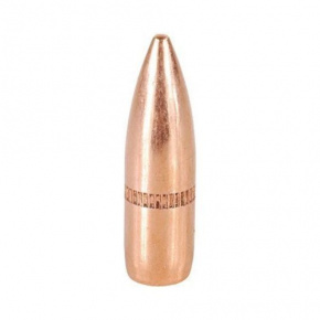 Střela Speer 22 cal (224 Diameter) 62 gr FMJ-BT