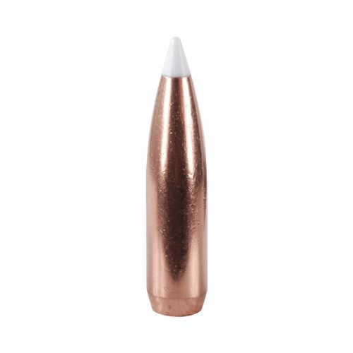 Střela Nosler 30 cal (308 Diameter) 180 gr AccuBond