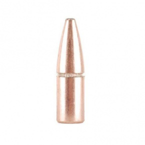 Střela Hornady 9.3mm (366 Diameter) 286 gr InterLock® SP-RP