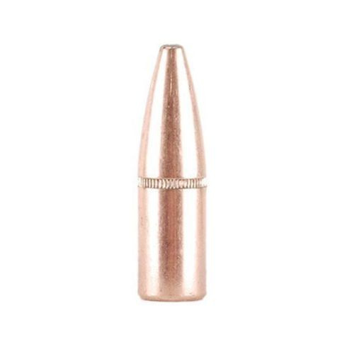 Střela Hornady 9.3mm (366 Diameter) 286 gr InterLock® SP-RP