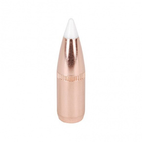Střela Nosler 6.8mm (277 Diameter) 100 gr AccuBond Střela Nosler 6.8mm (277 Diameter) 100 gr AccuBond
